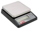 Taylor Precision Scale