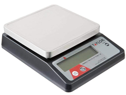 Taylor Precision Scale