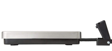 Taylor Precision Scale