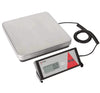 Taylor Precision Scale