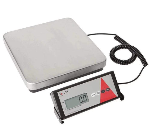 Taylor Precision Scale