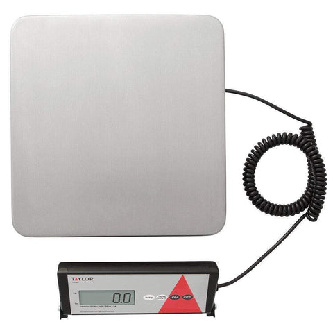 Taylor Precision Scale